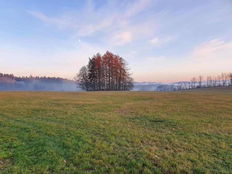 Apartmany Rudnik Bolkov Bagian luar foto
