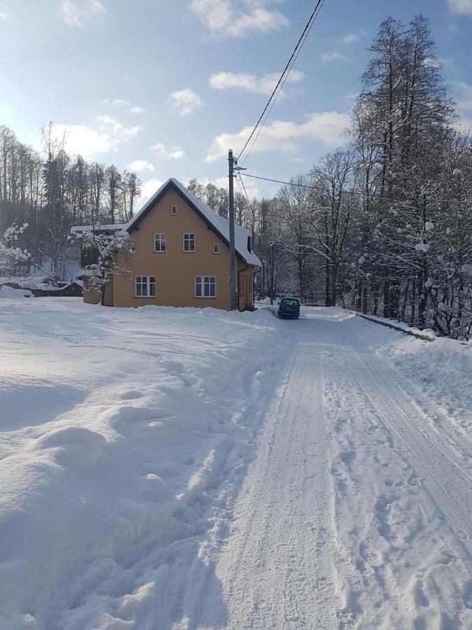Apartmany Rudnik Bolkov Bagian luar foto
